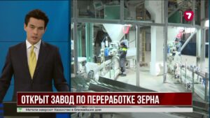 В Алматинской области спустя 25 лет возобновил работу завод по переработке зерна