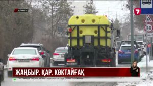 Алматыда бір тәулікте жарты айдың қары жауды