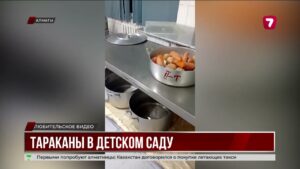 Тараканов и антисанитарию на кухне обнаружили в детсаду №29 Алматы
