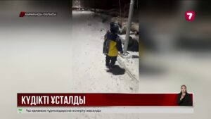 Қарағандыда жүргізуші балалы әйелді қағып, қашып кеткен