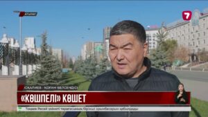 Атырауда бір жыл бұрын егілген ағаштар қайта қопарылды