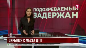 В Караганде задержан водитель после наезда на женщину с ребёнком