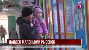 В Абайской области нашли детёныша рыси
