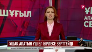 Грузияда Түркияның әскери ұшағы апатқа ұшырады