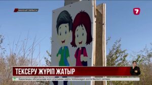 Жамбыл облысында 12 оқушы фастфудтан уланып, ауруханаға түсті