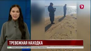 На побережье Каспия в Мангистау нашли мёртвых диких птиц