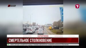 В Алматы мопедист погиб в ДТП с грузовиком