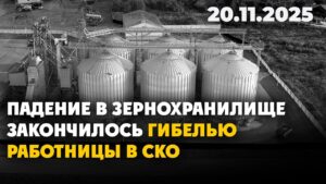 Падение в зернохранилище закончилось гибелью работницы в СКО | 20.11.2025 — Дневные новости