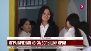 В Астане школы переводят классы на онлайн из-за всплеска ОРВИ