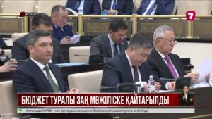 Бюджет туралы заң Мәжіліске қайтарылды