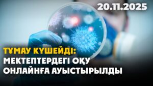 Тұмау күшейді: жеті аймақтағы мектепте оқу онлайн форматқа ауыстырылды | 20.11.2025