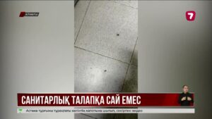Асханасынан қырықаяқ табылған Алматыдағы балабақша жабылды