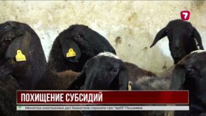 Ветеринары зарегистрировали несуществующий скот и присвоили 271 млн тенге субсидий