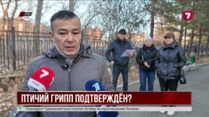 В СКО спорят о причине массового падежа птицы