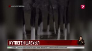 Бейнеуде екі оқушының аяғын қарсақ тістеп алған