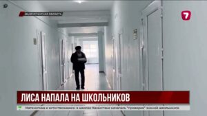 В Мангистауской области лиса напала на школьниц