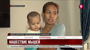 В Атырауской области школы закрыли из-за нашествия мышей