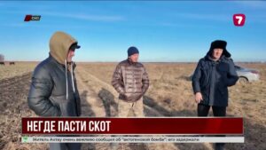 Фермеры Кызылжарского района остались без пастбищ после паводка