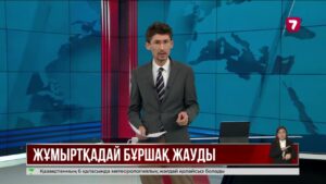 Бразилияда көлемі жұмыртқадай бұршақ жауды