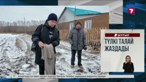 Алматыда ер адам 7 жасар баланы бар күшімен тепті