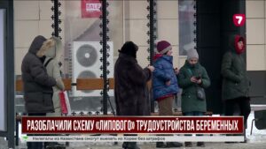 Беременных женщин оформляли на работу фиктивно