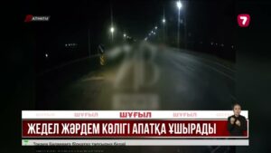 Алматыда жедел жәрдем мен жеңіл көлік соқтығысып, фельдшер қайтыс болды