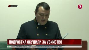 В Шымкенте подростку дали 7,5 года за убийство женщины