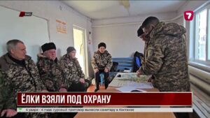 В ВКО усилили охрану хвойных лесов