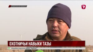 Казахские тазы прошли испытания в Алматинской области