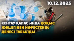 Кентау қаласында қоқыс жәшігінен нәрестенің денесі табылды | 10.12.2025 — Күндізгі жаңалықтар