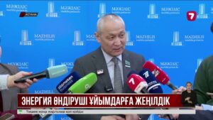 Мемлекет меншігіндегі энергия өндіруші кәсіпорындар салықтан босатылуы мүмкін
