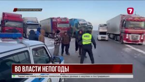 Западные регионы накрыла сильная метель