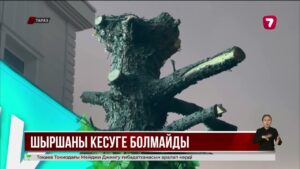 Шыршаны кескендер айыппұл арқалайды