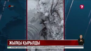 БҚО-да бір үйір жылқы мұзға қатып қалған