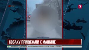 В Таразе собаку привязали к машине и тащили по дороге