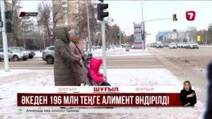 Жеке сот орындаушы астаналық әкеден 196 млн теңге алимент өндірді