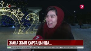 Астананың 6 ауданында 40 жерде жаңажылдық шырша орнатылды