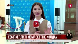 Ә. Смайылов: Жеке кәсіпкерлікті мемлекеттік қолдау шаралары жүйесіз әрі өзектілігін жоғалтқан