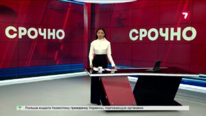 Любитель экстрима разрушил елку в Туркестанской области