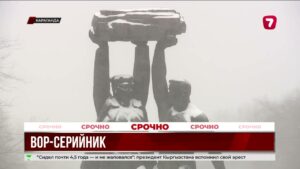 В Караганде пресекли деятельность серийного преступника