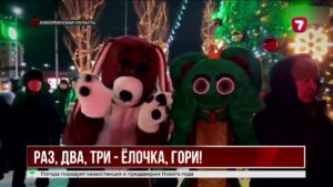 В Косшы впервые зажгли новогоднюю ёлку