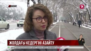 Freedom Insurance жол апатын онлайн рәсімдейтін DTP.kz сервисін әзірледі