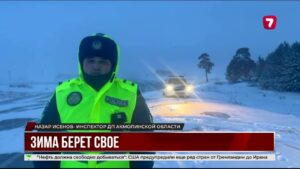 Метели и дожди вместо зимних морозов