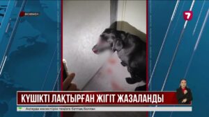 Өскеменде лабрадор күшігін қорлаған ер адамды біреулер сабап кеткен