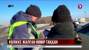 СҚО-да көлікке жалған нөмір тағып, тайраңдап жүргендер қолға түсті