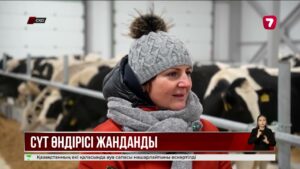 СҚО елімізде сүт өндіру бойынша 2-орынға шықты
