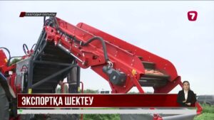 Сәбіз шіріп кете ме? Павлодарлық фермерлер экспорт шектеуіне алаңдаулы