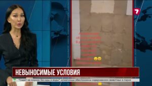 Сотрудники дома-интерната жалуются на невыносимые условия