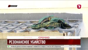 МВД и Генпрокуратура проверят полицию Шымкента