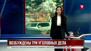 В Шымкенте возбуждено несколько дел после массовой драки